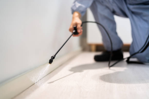 Bed Bug Pre-Treatment Preparation Assessment in Roscoe